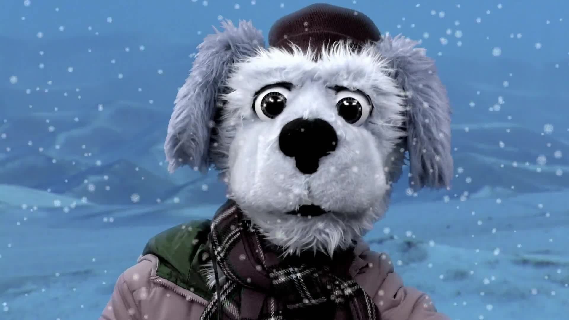 Animal Alphabet: B is for Bactrian Camel