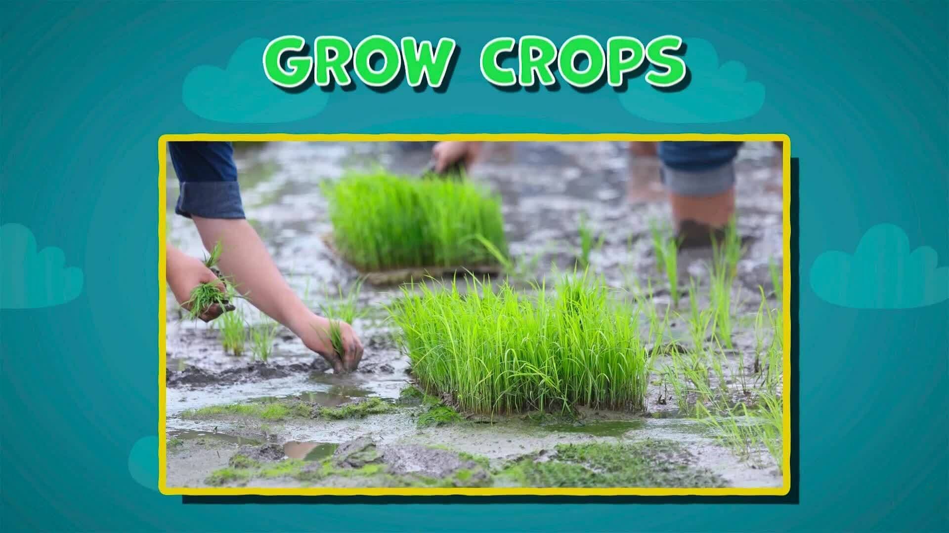 I WONDER - Are There Any Advantages During Monsoon Season?