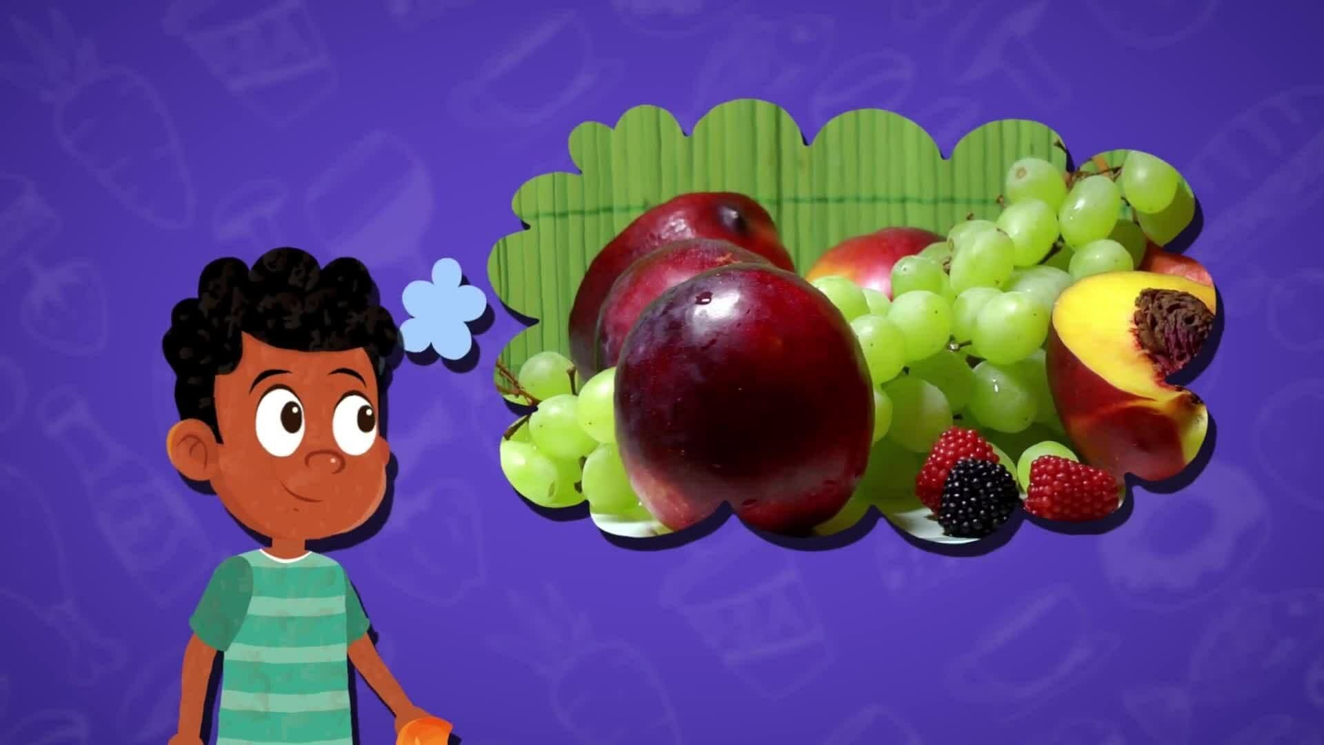 High Five Facts - Food Groups