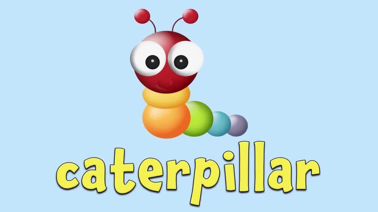 Bugs!  Learning Bugs for Kids