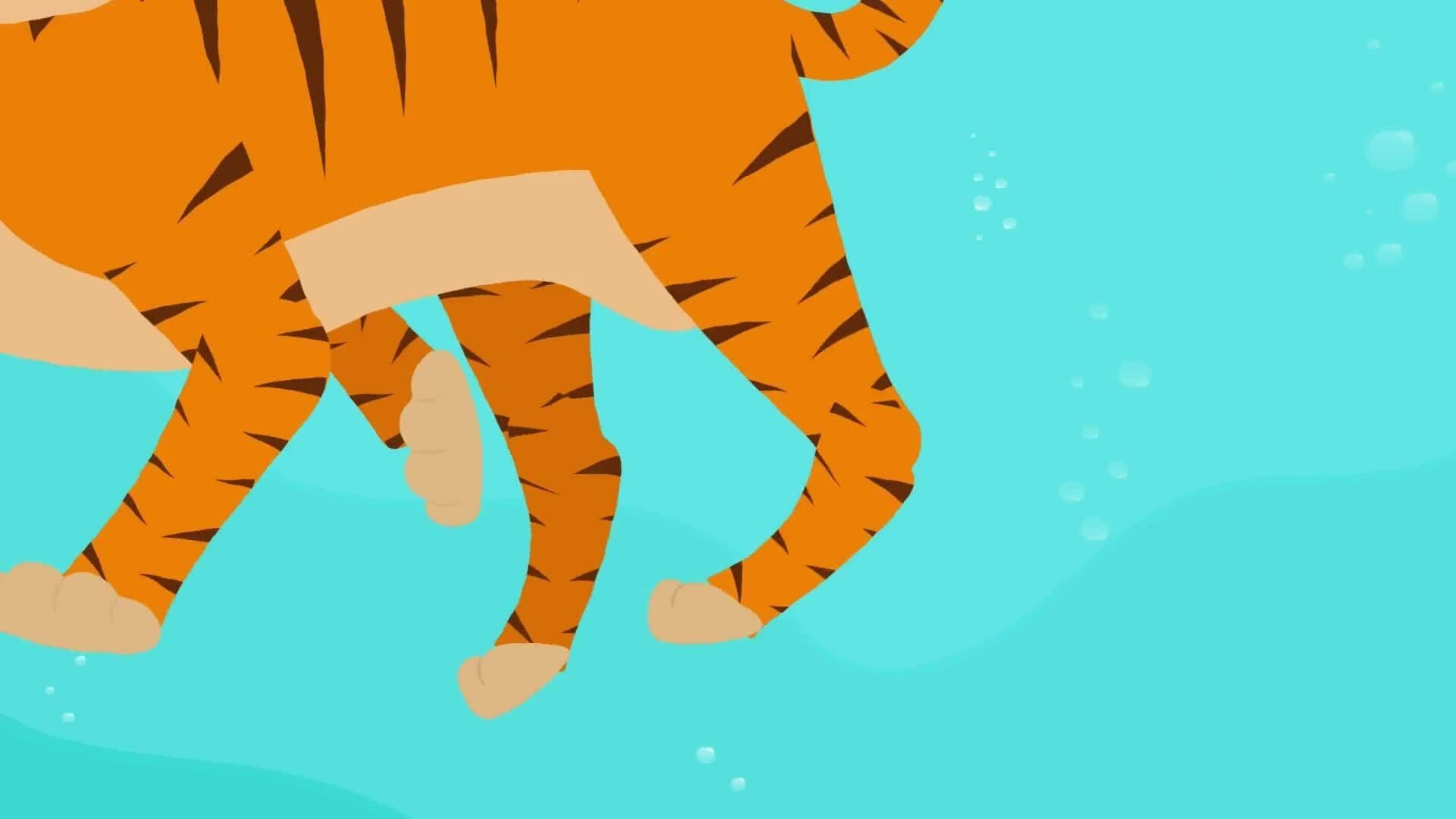 High Five Facts - Tigers