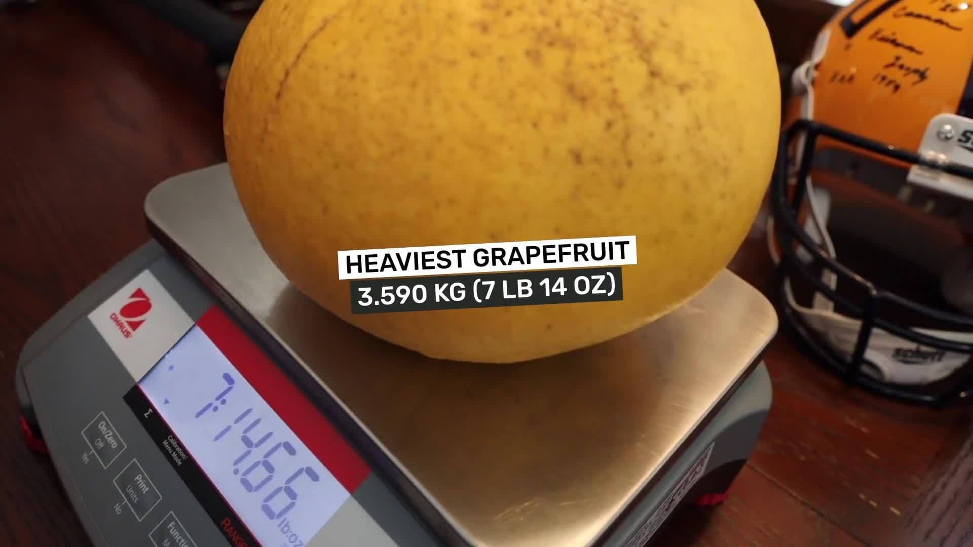 The Magical Fairy Garden and the World Record Grapefruit