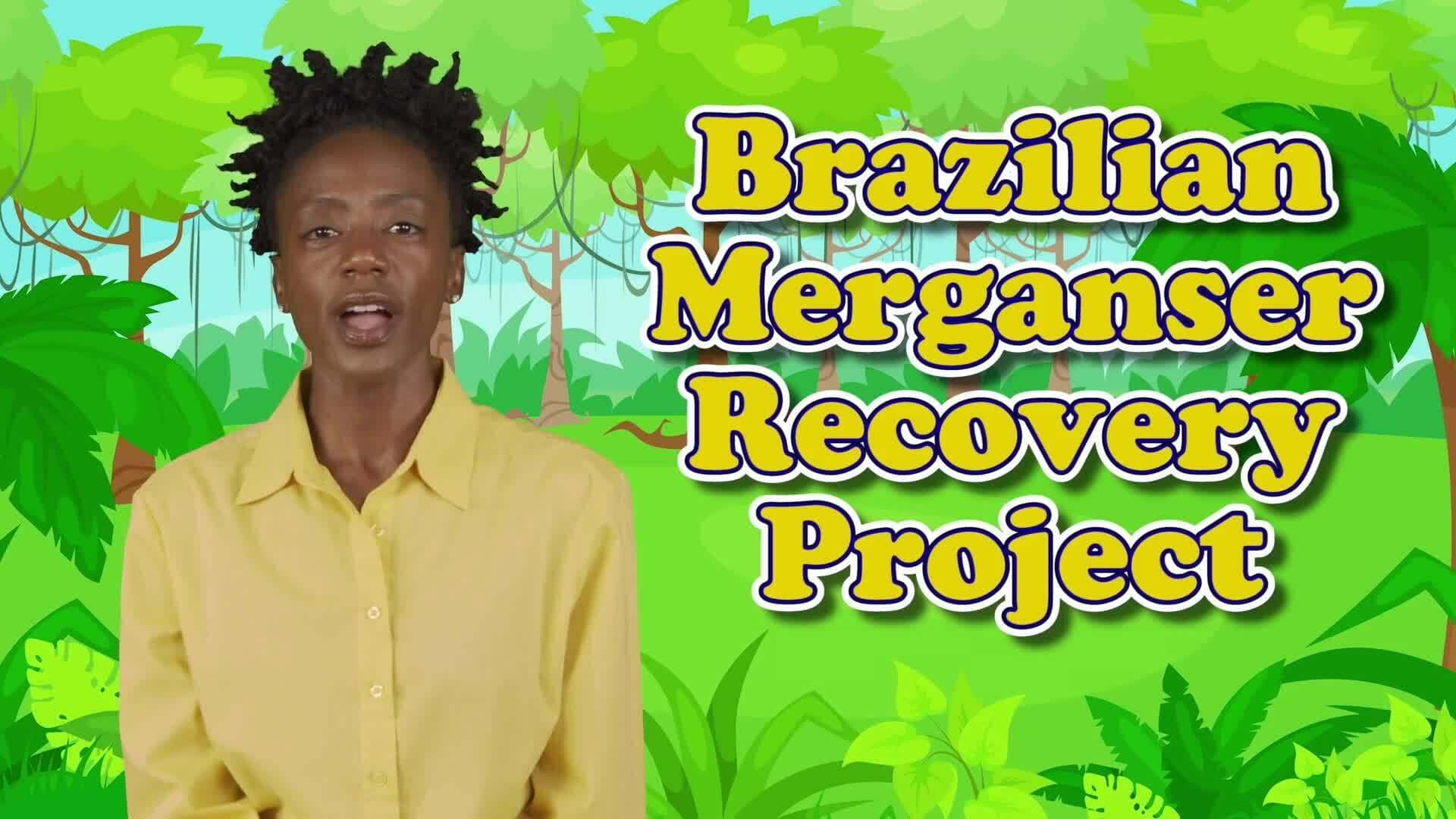 Protecting Endangered Ducks: Conservation Efforts and Challenges