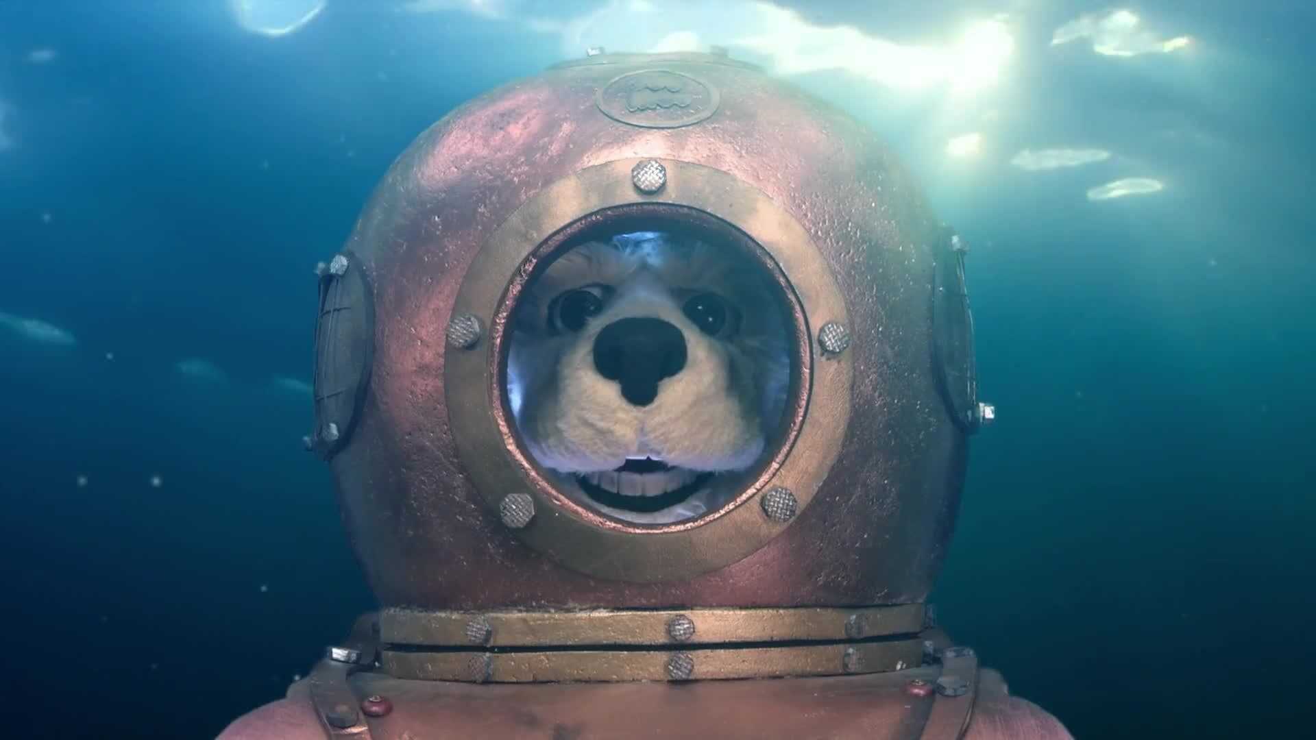 Animal Alphabet: P is for Parrotfish