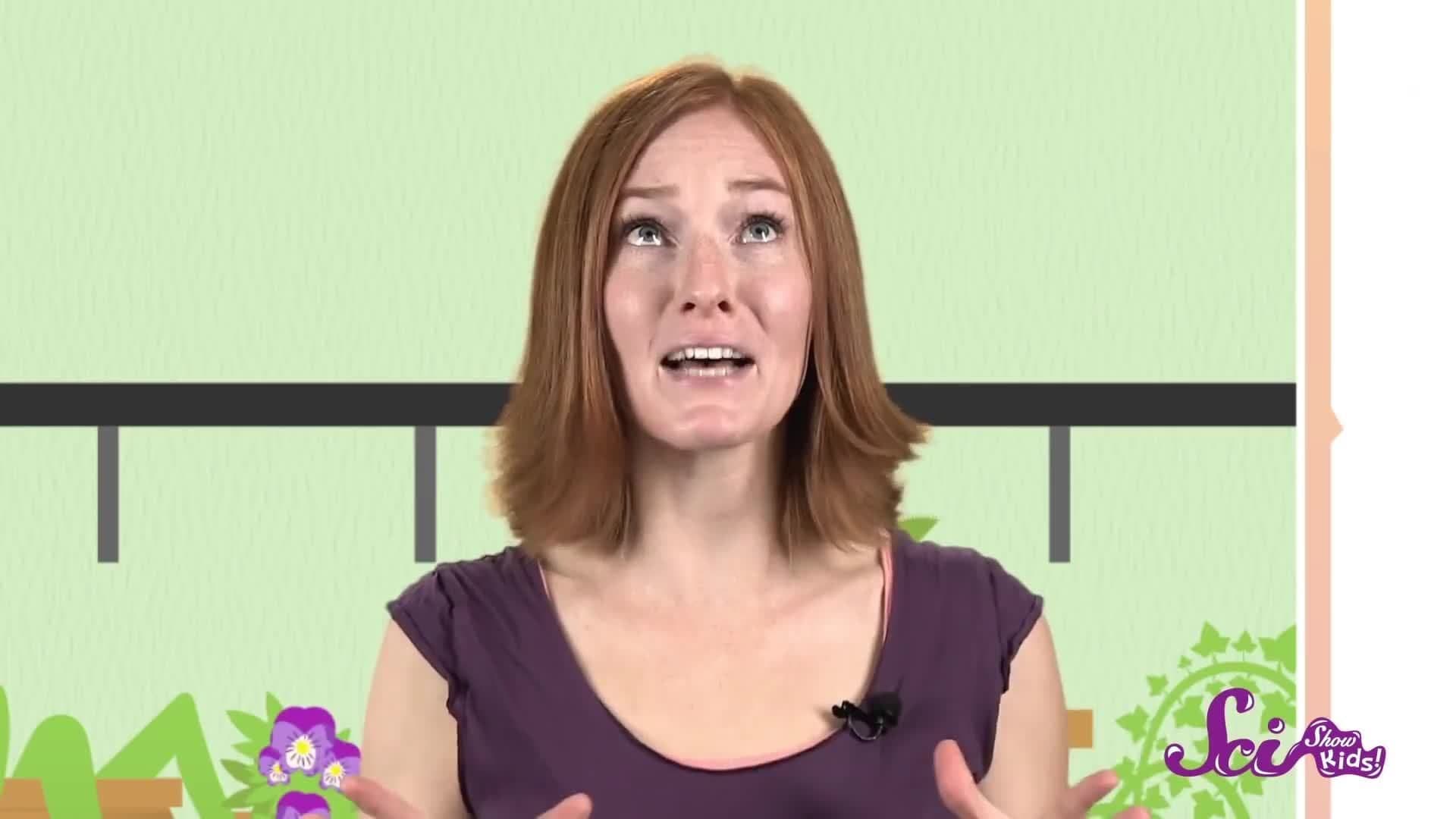 Why Do Mosquito Bites Itch?