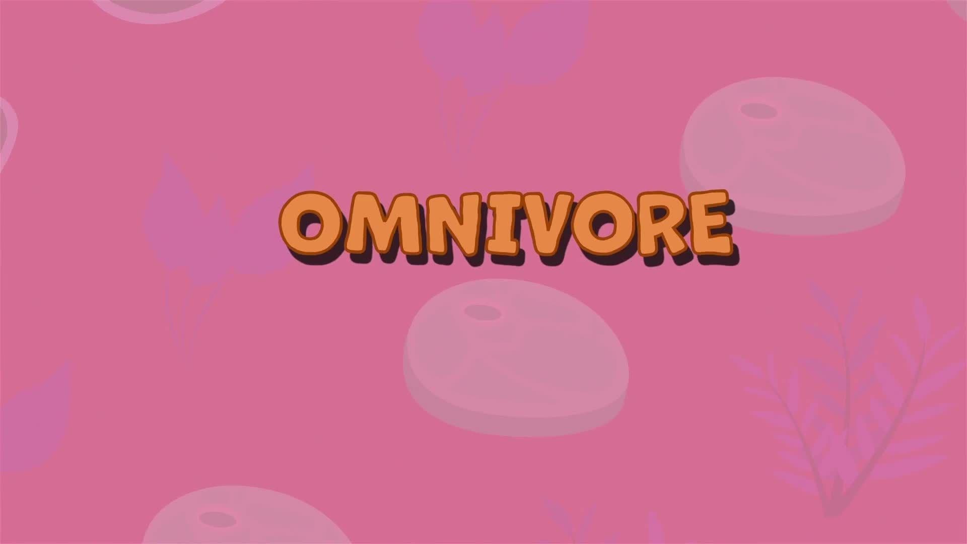 I WONDER - What Is An Omnivore?