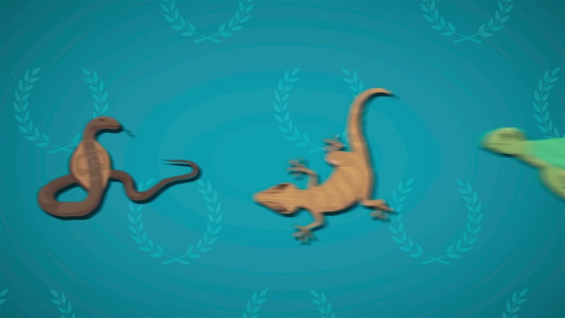 I WONDER - How Do Reptiles Keep Warm?