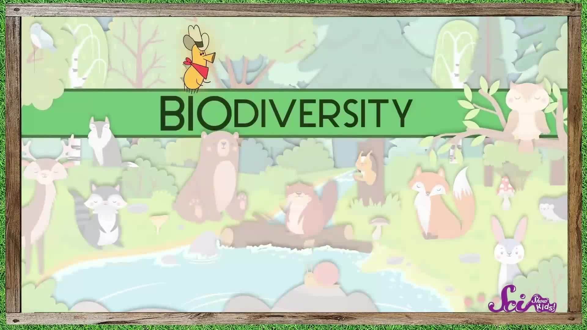 More Animal Valentines! | Valentine's Day | A SciShow Kids Compilation