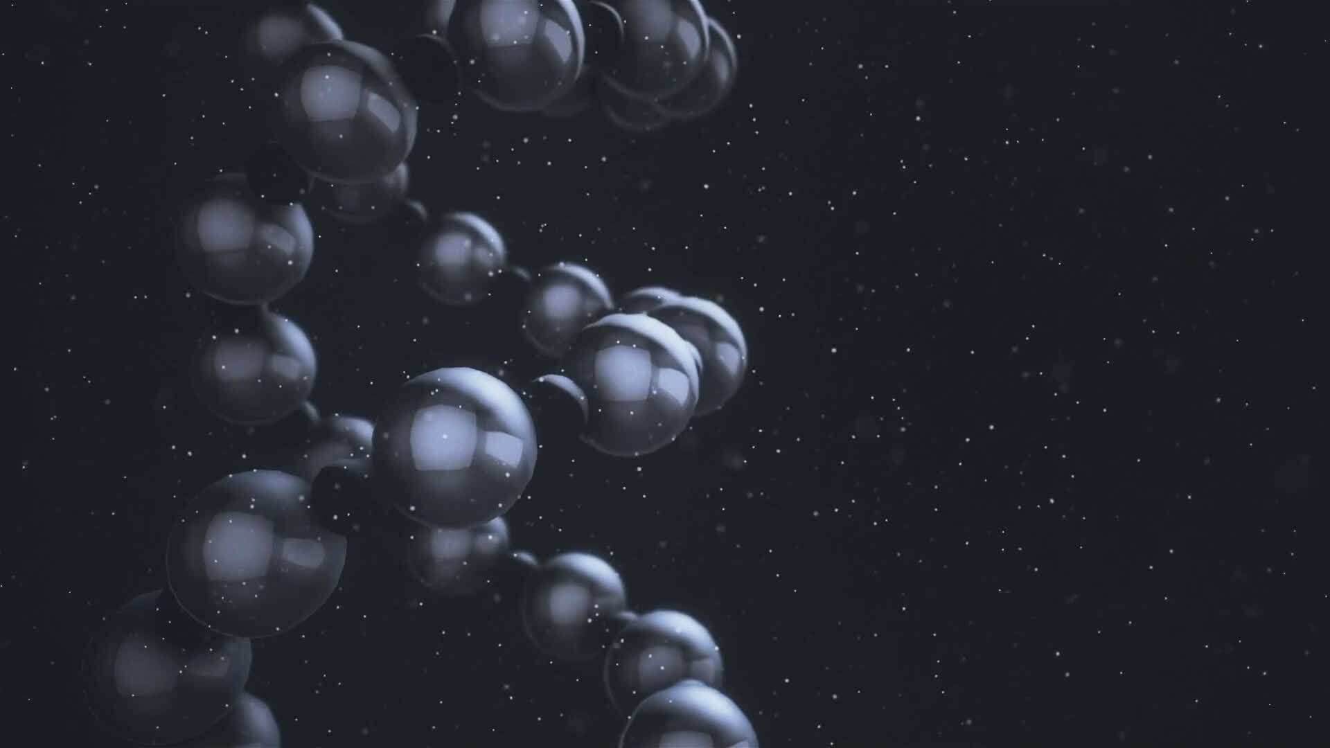 I WONDER - Are There Polymers Found In Nature?