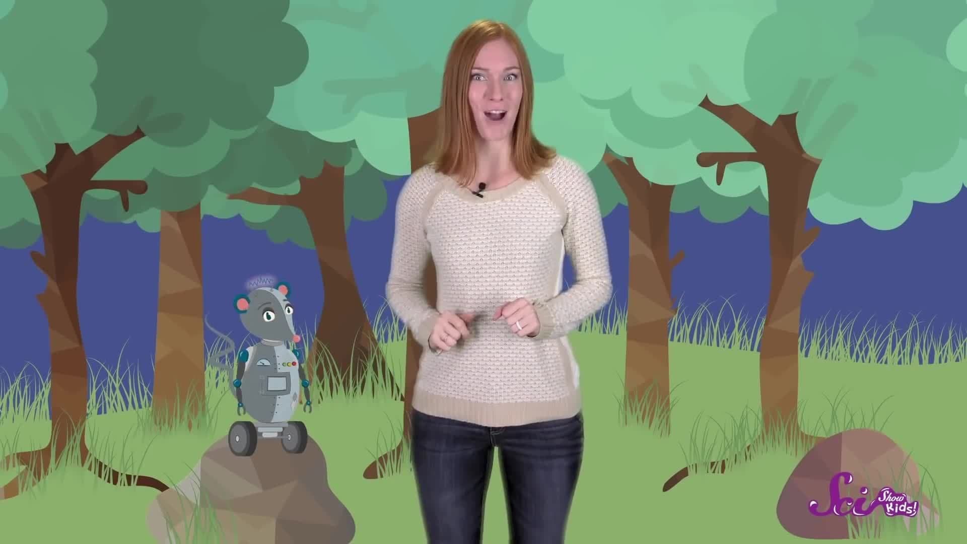 The World Under a Rock!