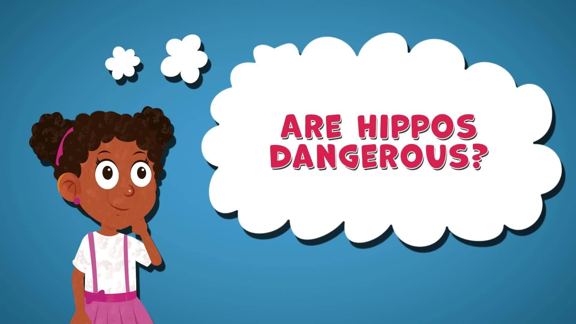 I WONDER - Are Hippos Dangerous?