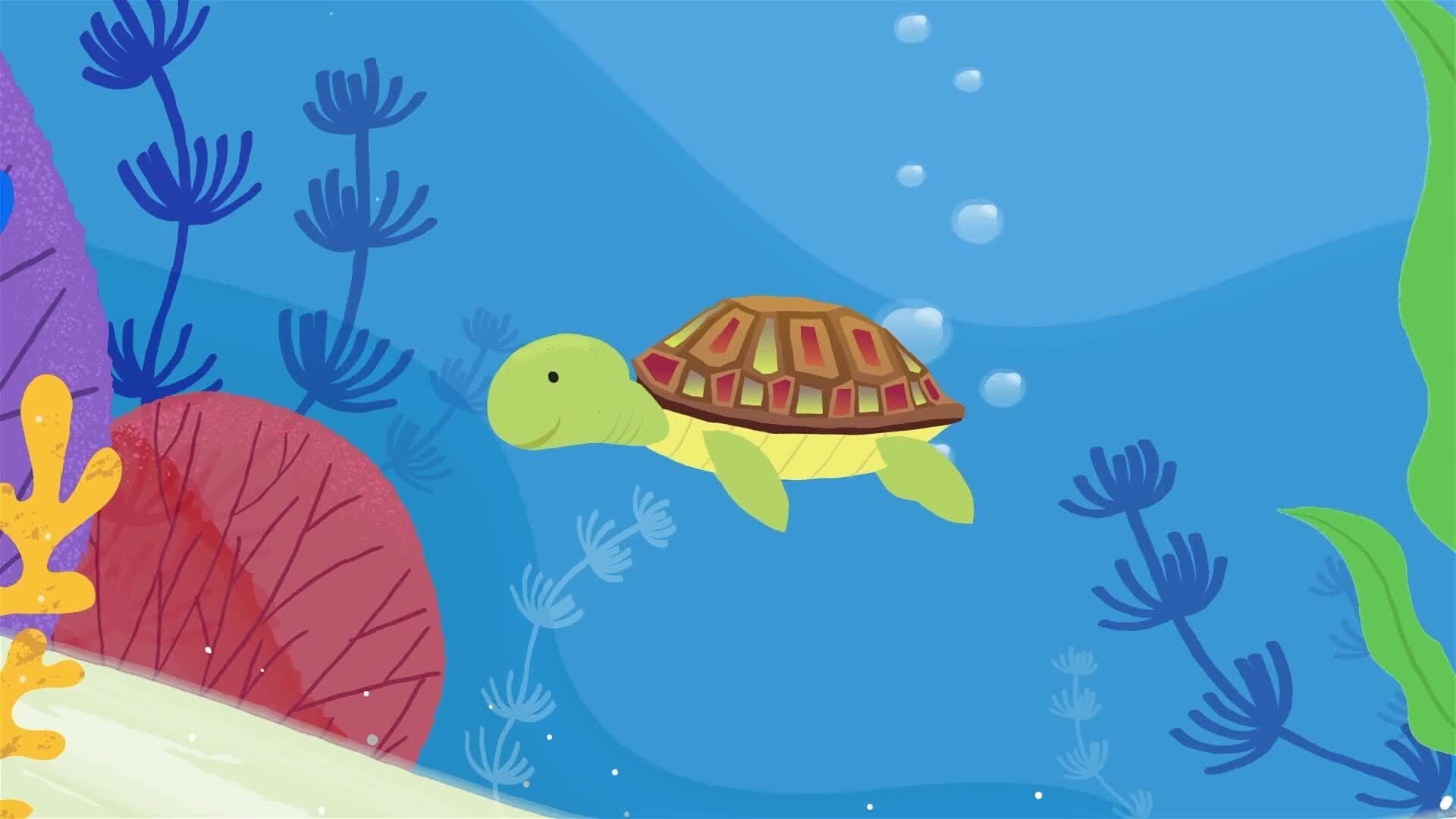 I WONDER - What Is A Hawksbill Turtle?