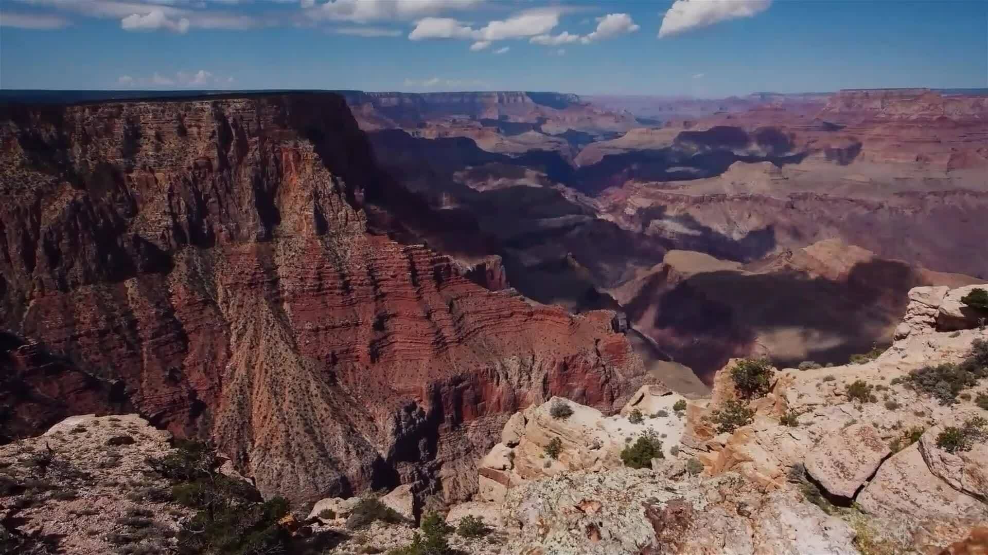 I WONDER - What Animals Live In The Grand Canyon?