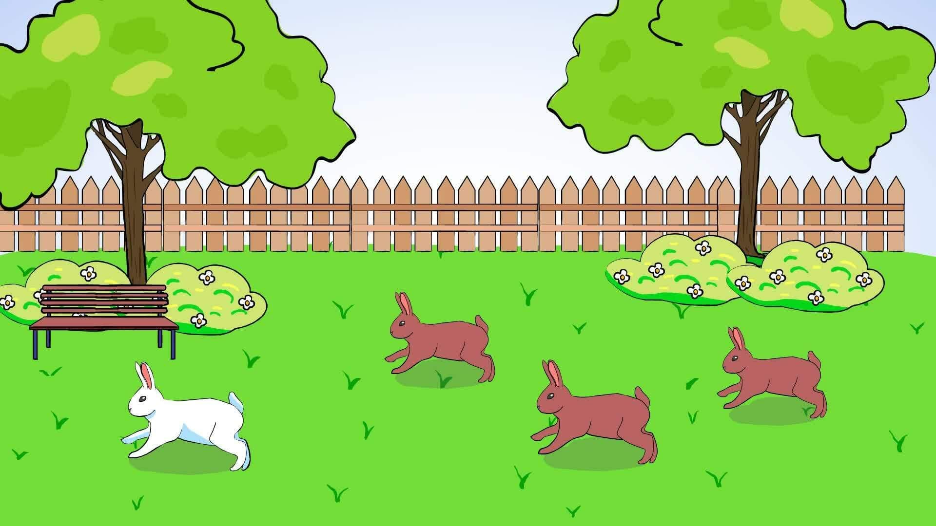 Introduction to Addition