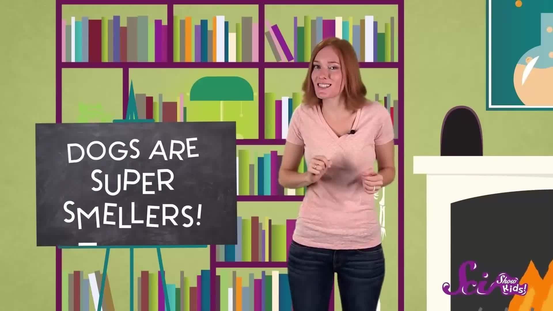 Cats and Dogs | SciShow Kids Compilation