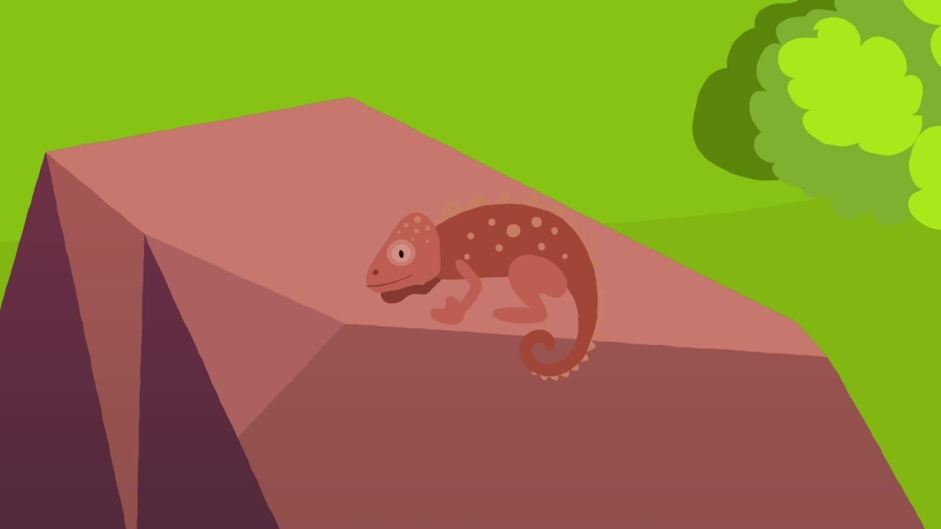 I WONDER - How Does Camouflage Help Animals?