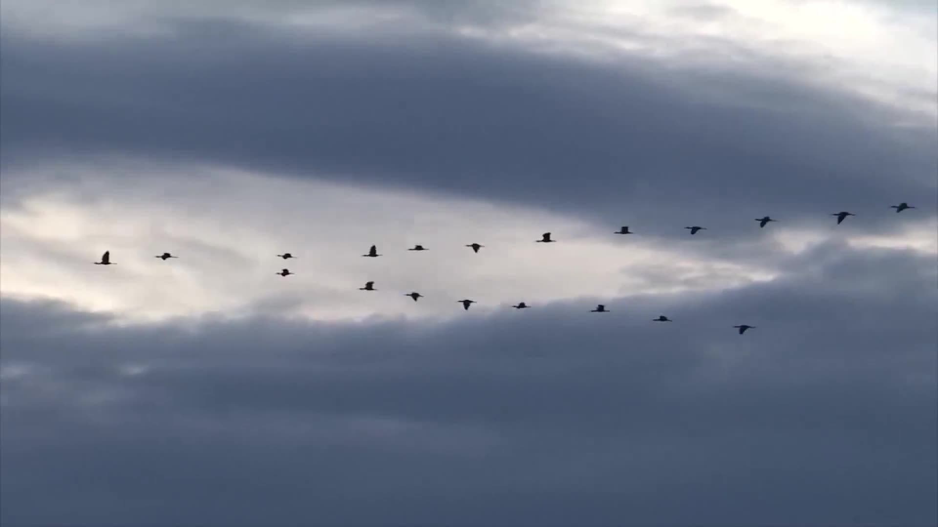 Introduction to Landscapes in Spanish