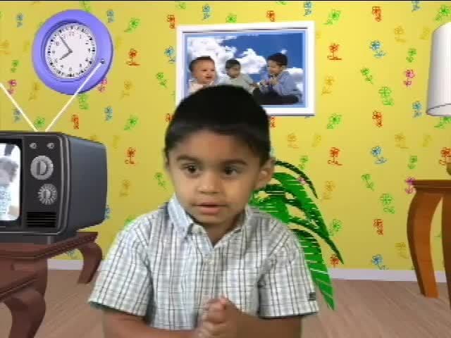 Book - Sign Language Vocabulary