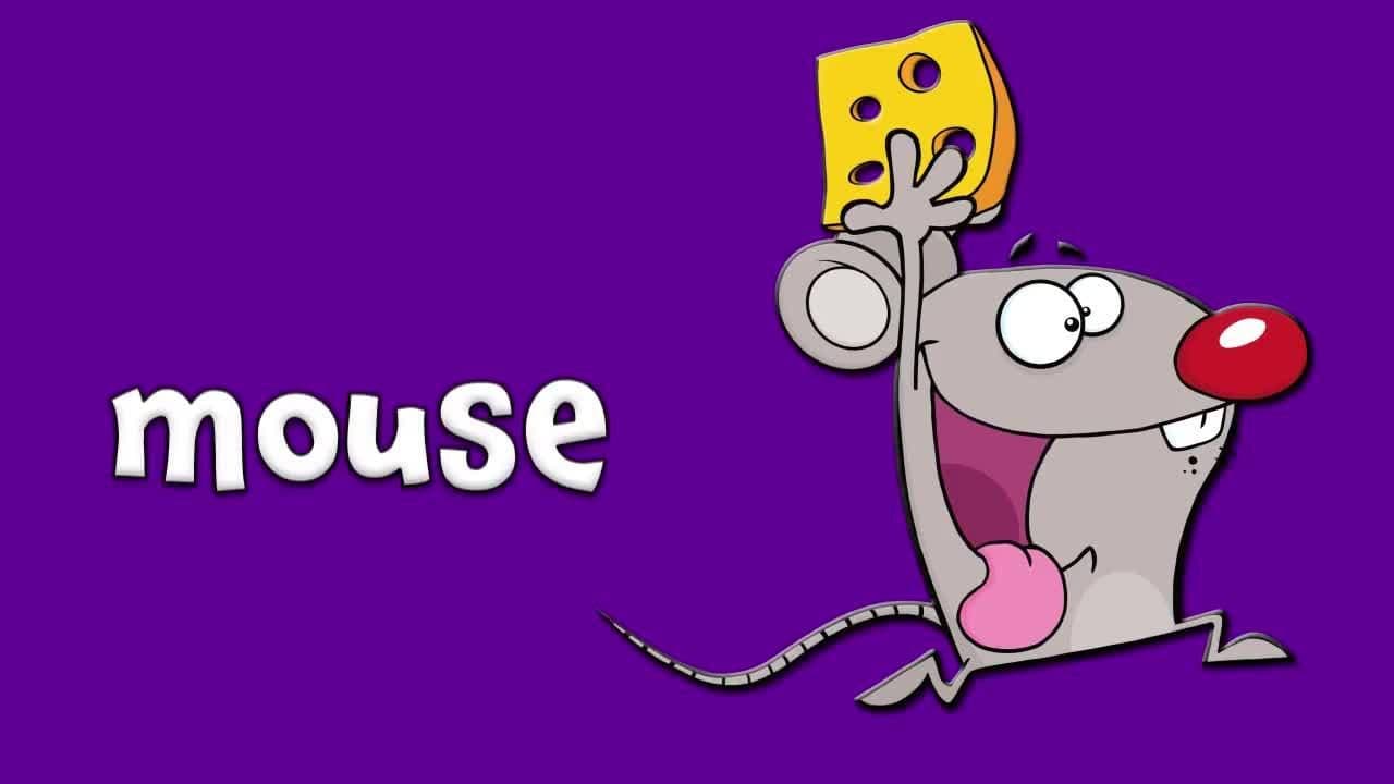 Spooky Animals!  Learn Halloween Animals!