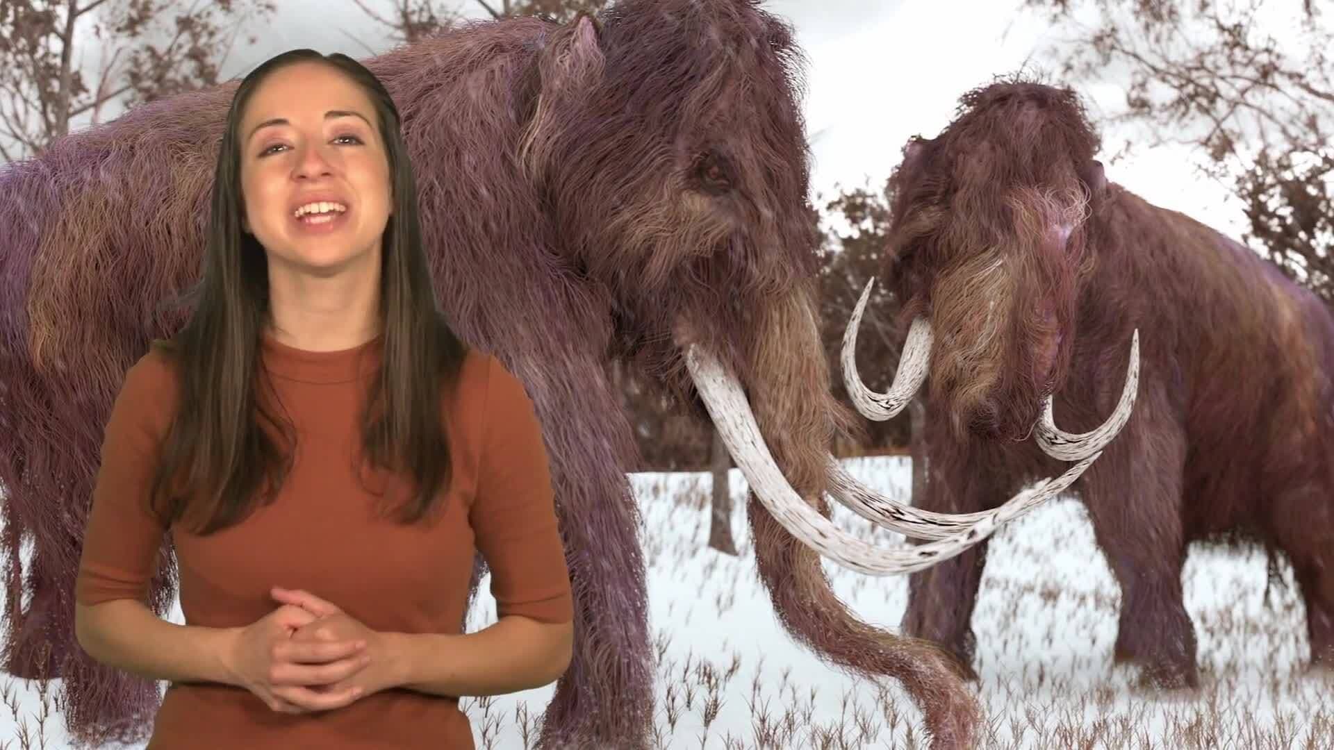 The Cenozoic Era: Dawn of Mammals and Modern Landscapes