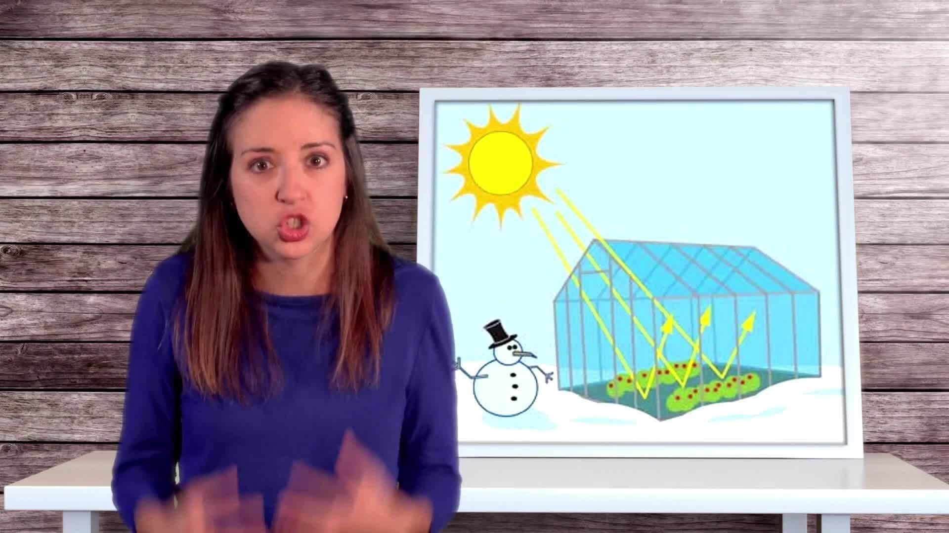 The Greenhouse Effect: Unraveling the Impact on Global Climate