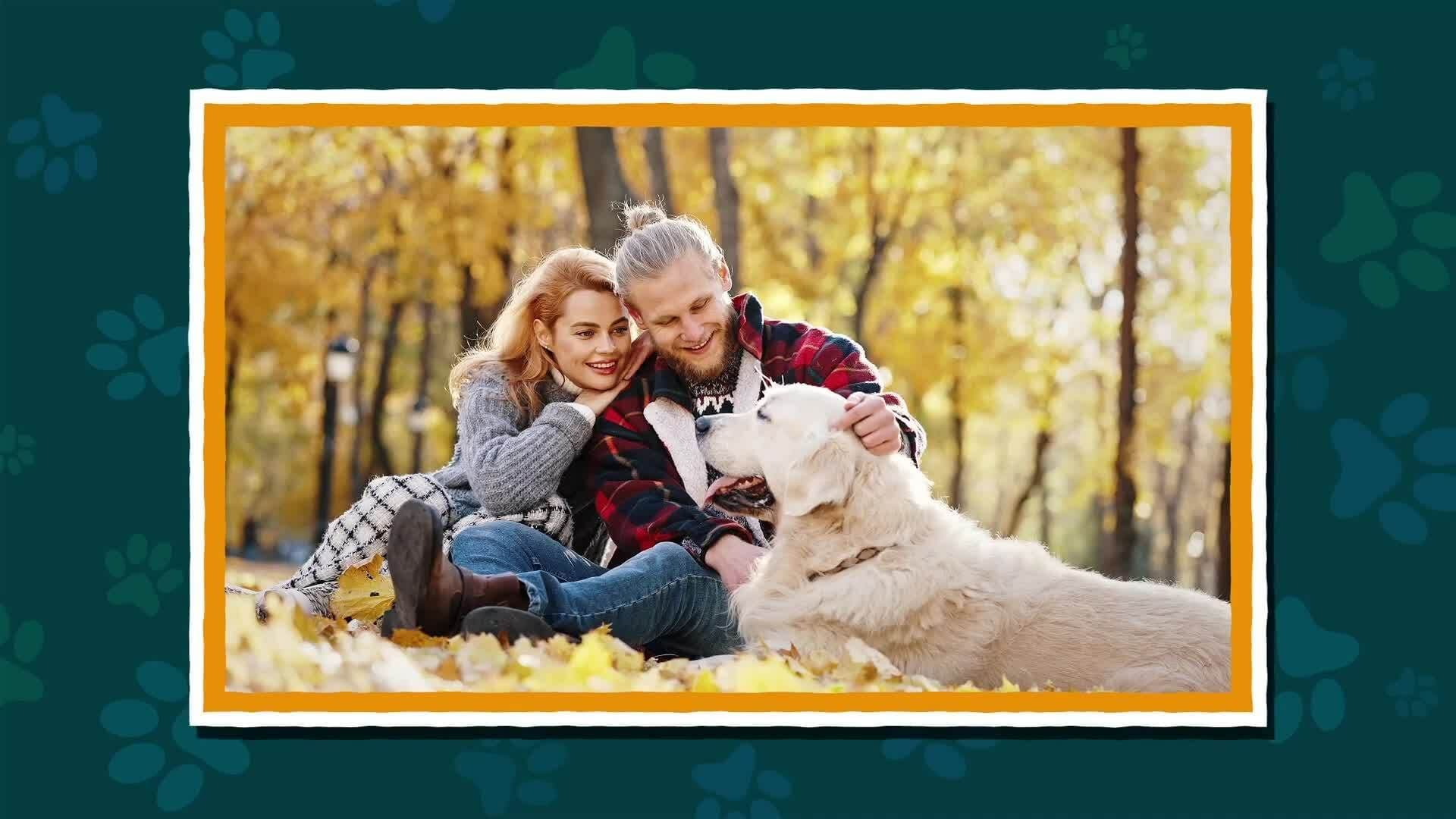 I WONDER - Who First Had Dogs As Pets?