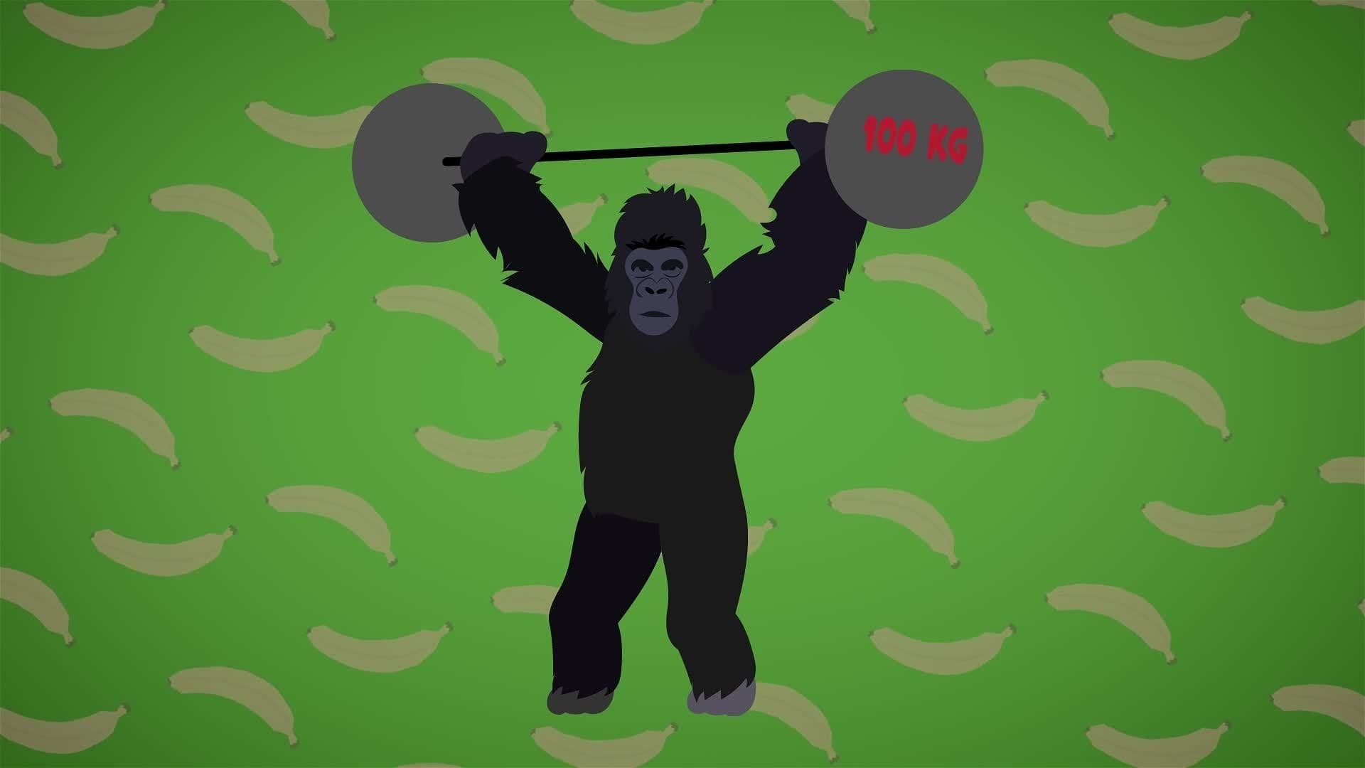 I WONDER - How Strong Are Gorillas? 