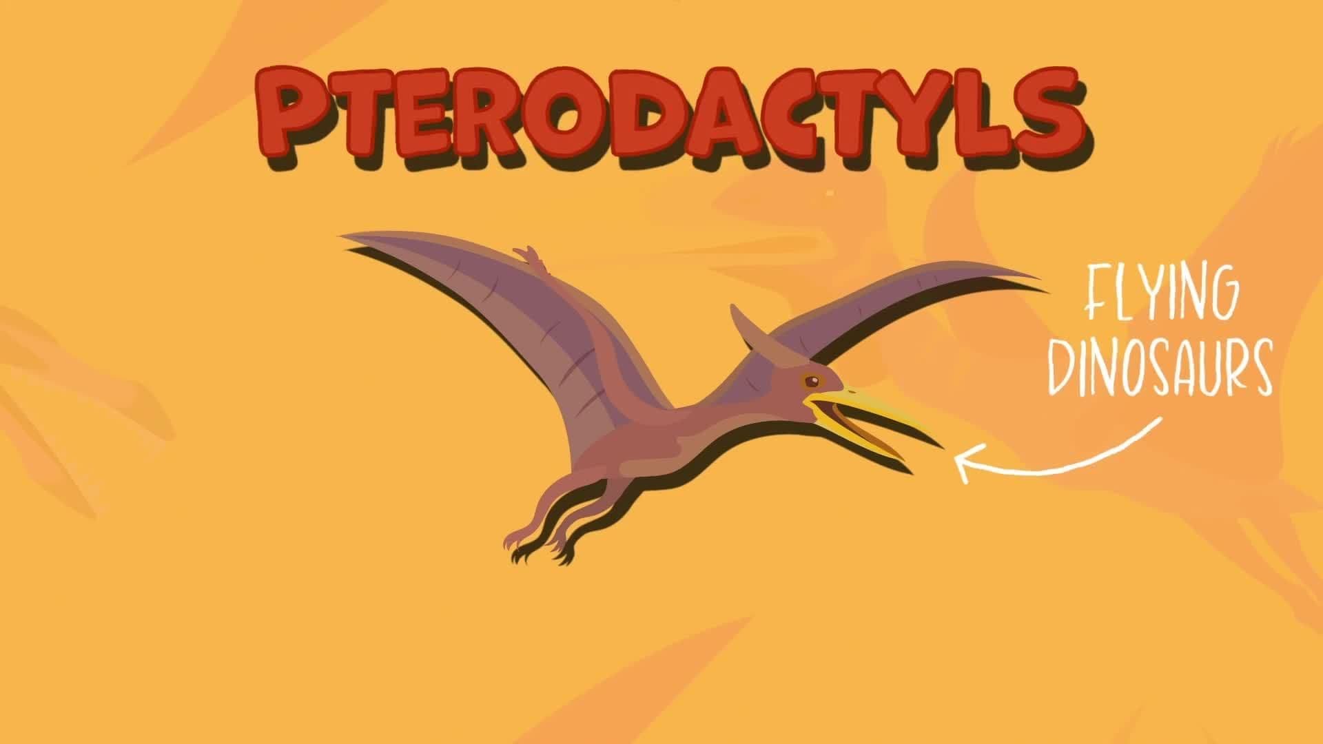 Flying Dinosaurs