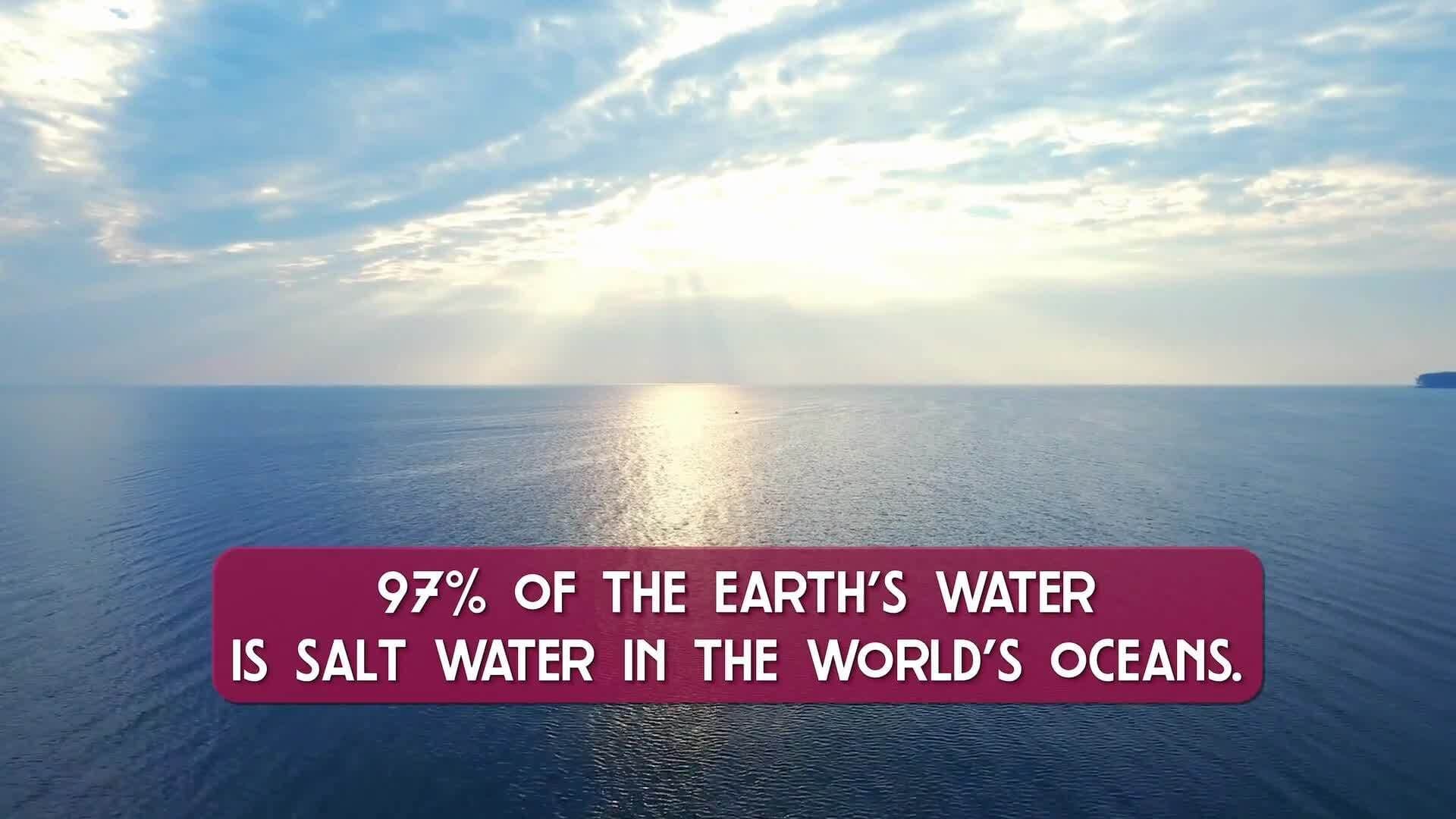 Taking Action Against Water Scarcity: Solutions for Conservation