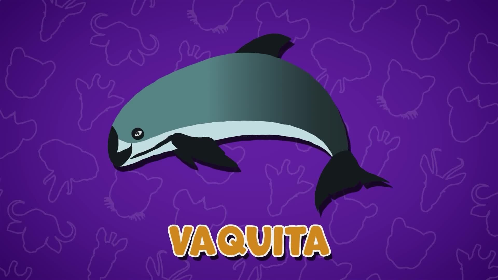 I WONDER - What Is A Vaquita?