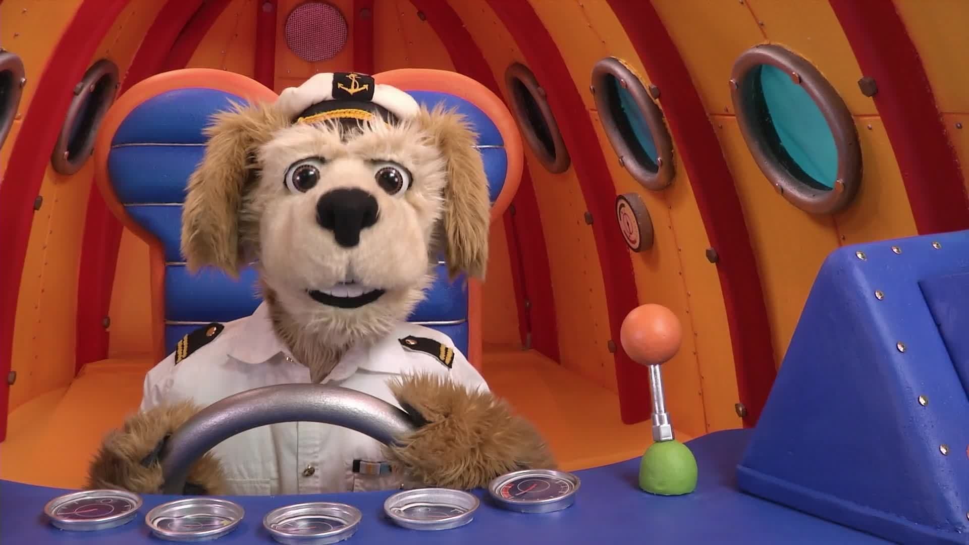 Animal Alphabet: G is for Great White Shark