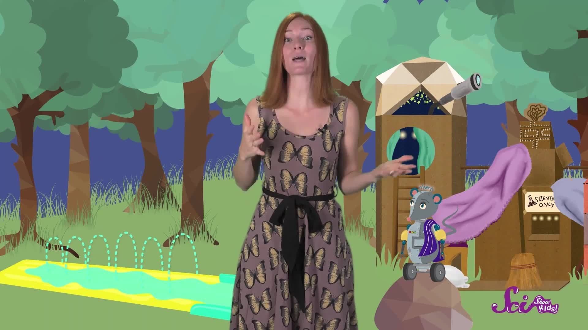 Slipping, Sliding Science!