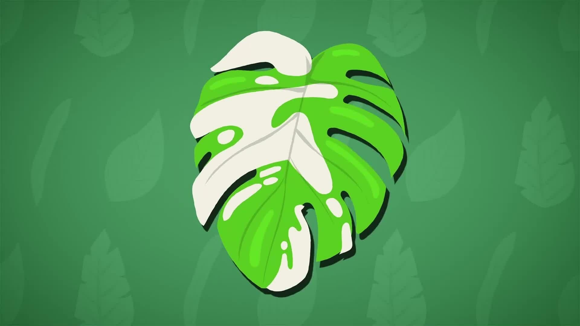 I WONDER - What Is Chlorophyll?