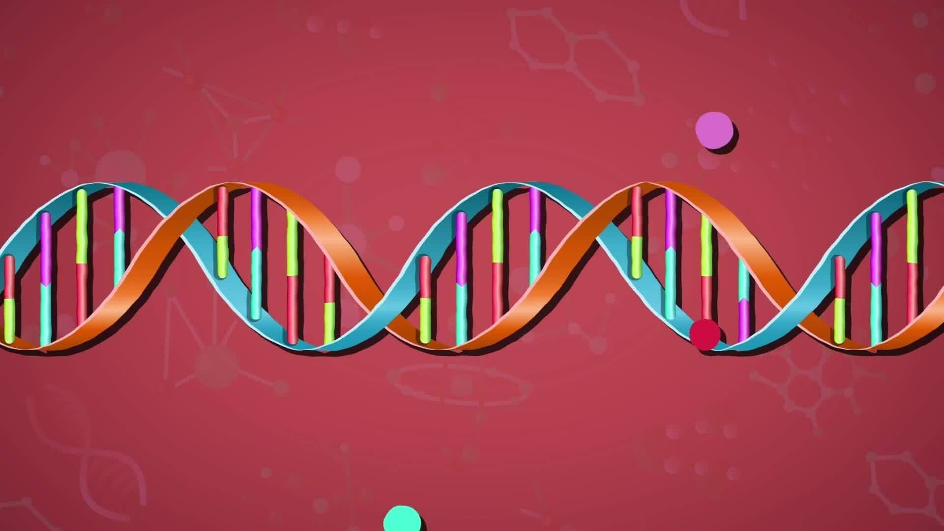 High Five Facts - Molecules
