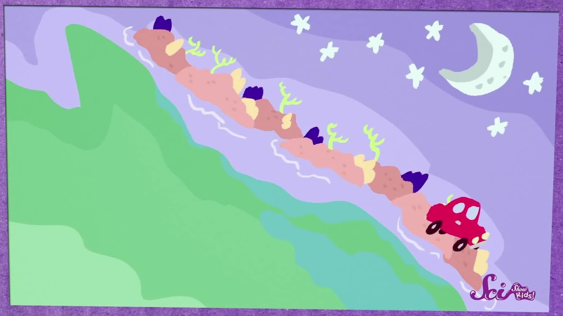 Check Out the Great Barrier Reef!