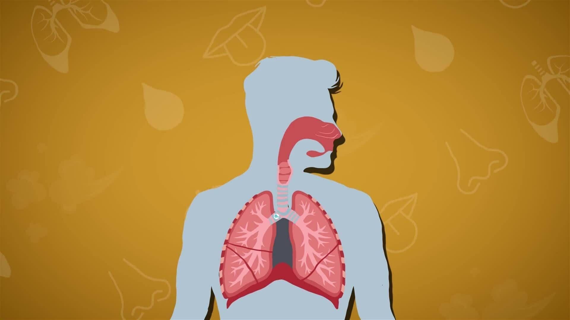 I WONDER - What Happens To The Air That We Breathe?