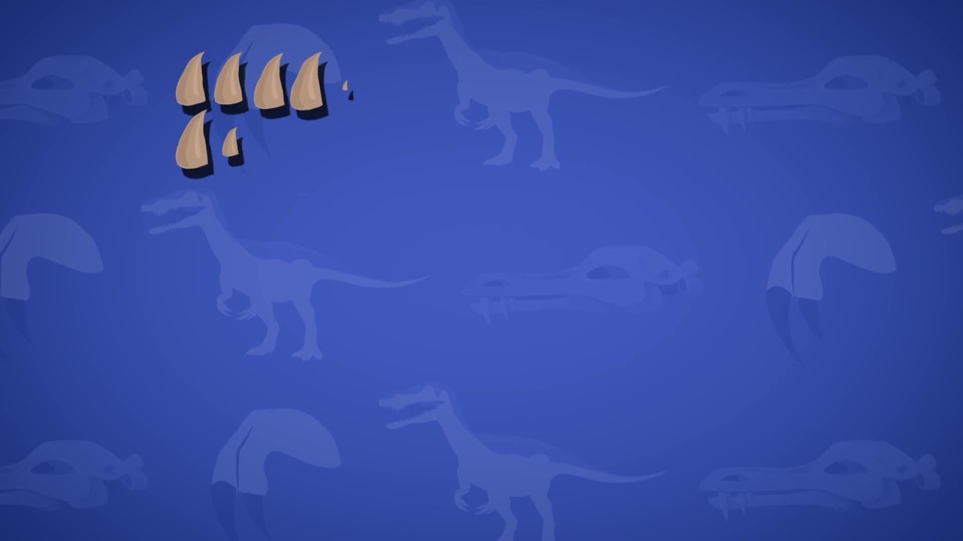 I WONDER - Why Was The Baryonyx's Snout Special?