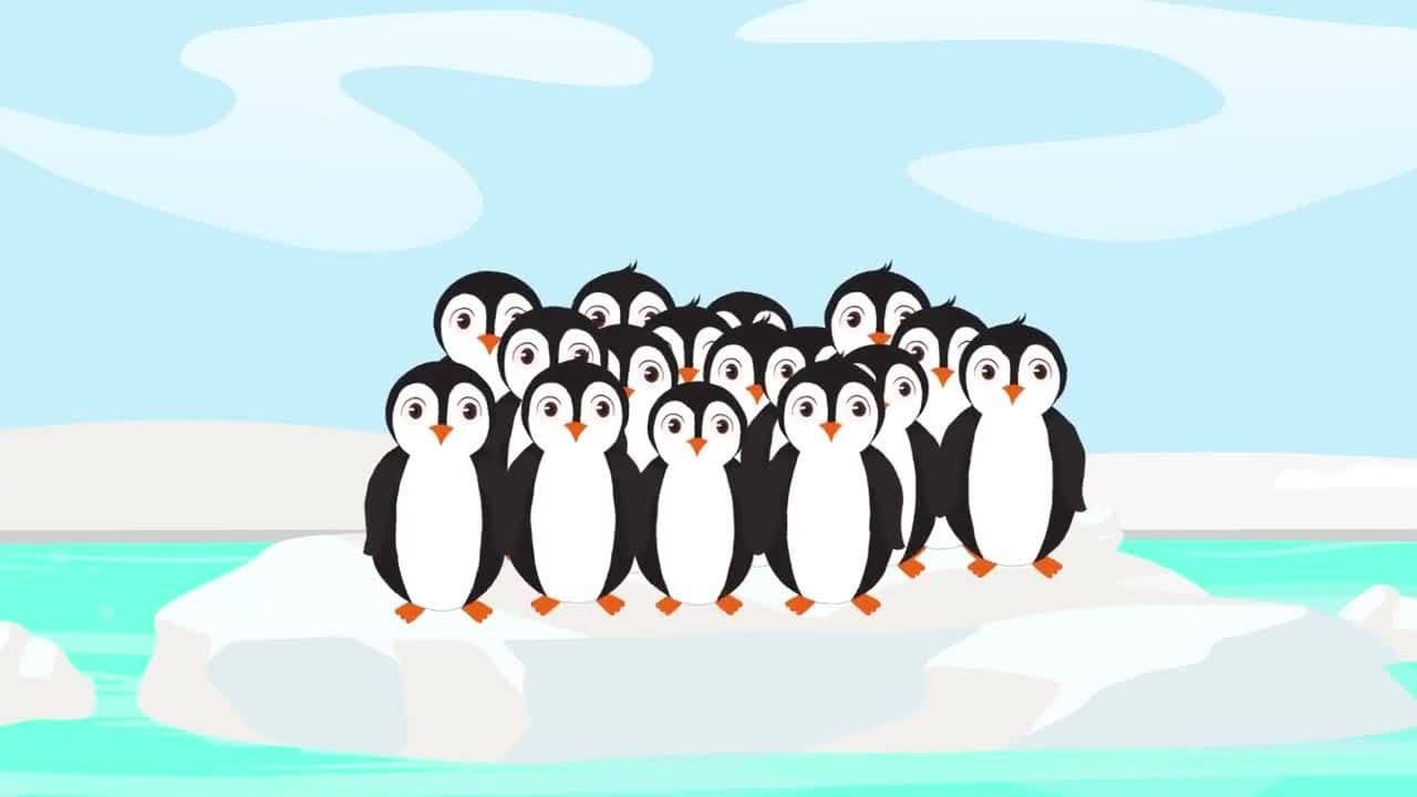 I WONDER - Why Do Birds Flock Together?