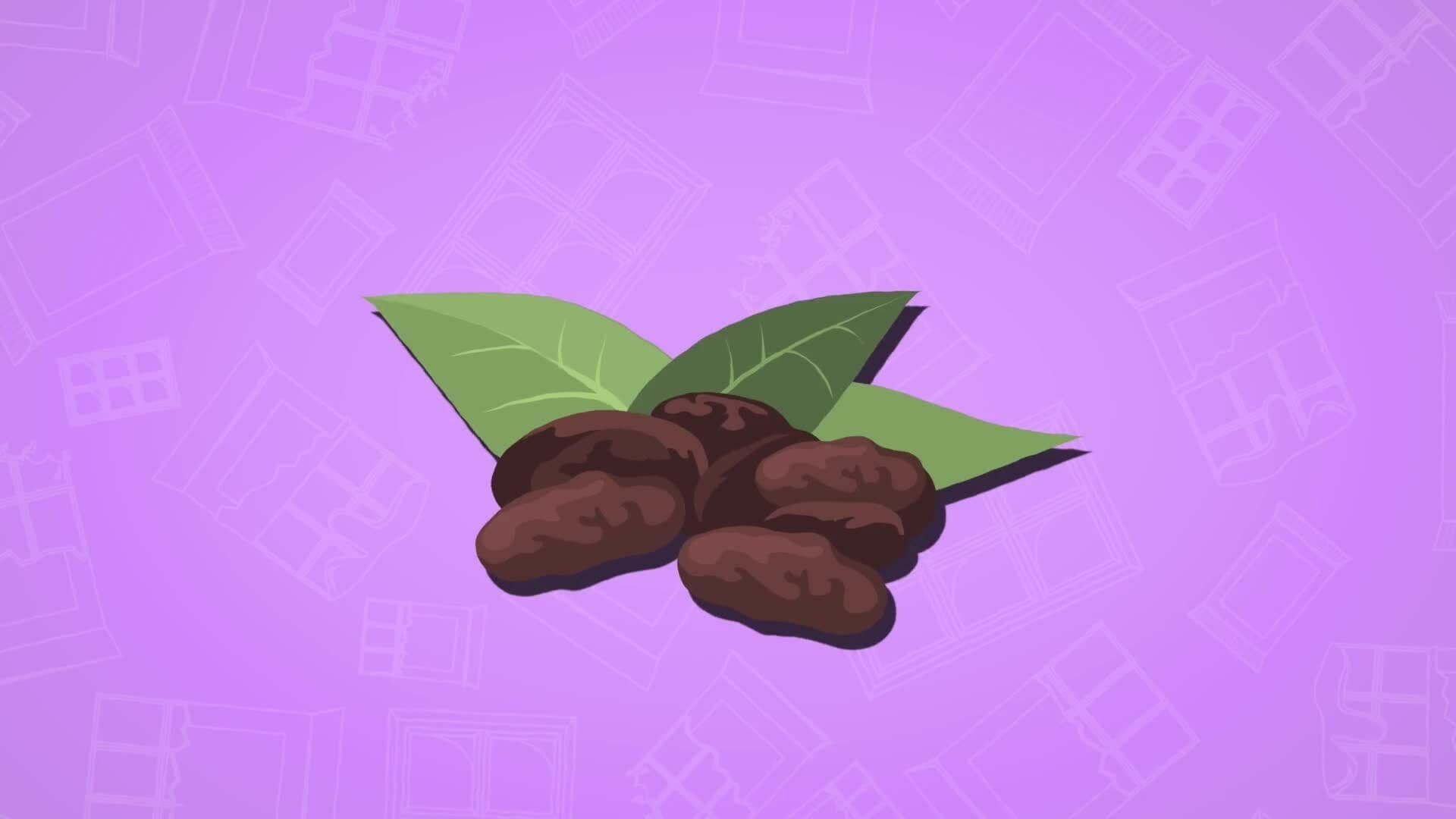 High Five Facts - Chocolate