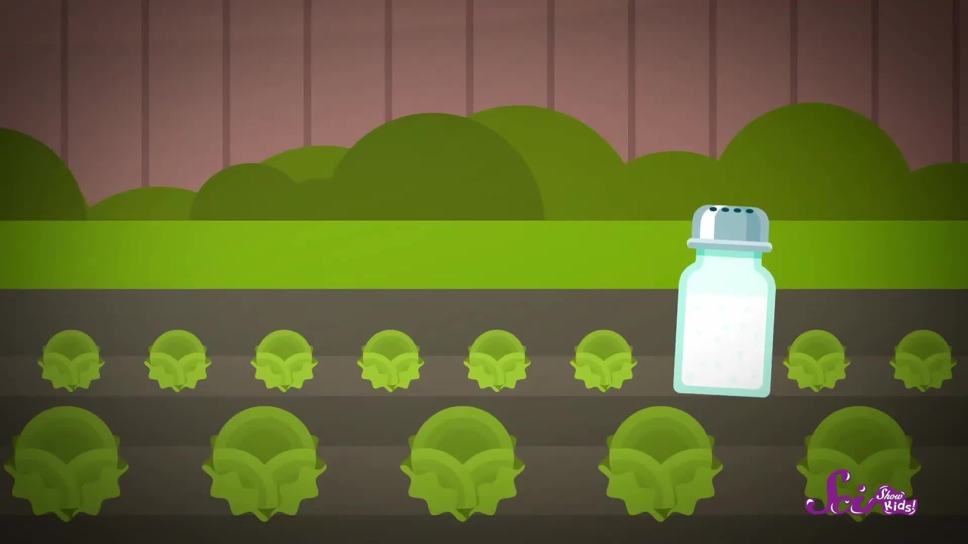 Solar-Powered Slugs