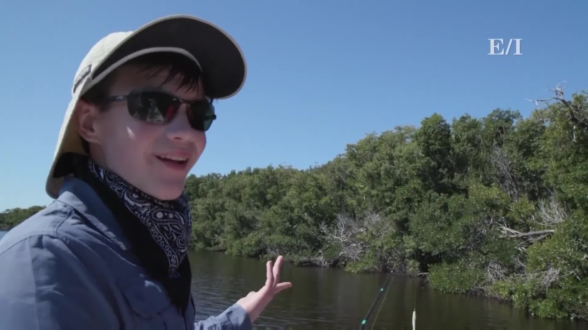 The ecosystem of the Florida Everglades