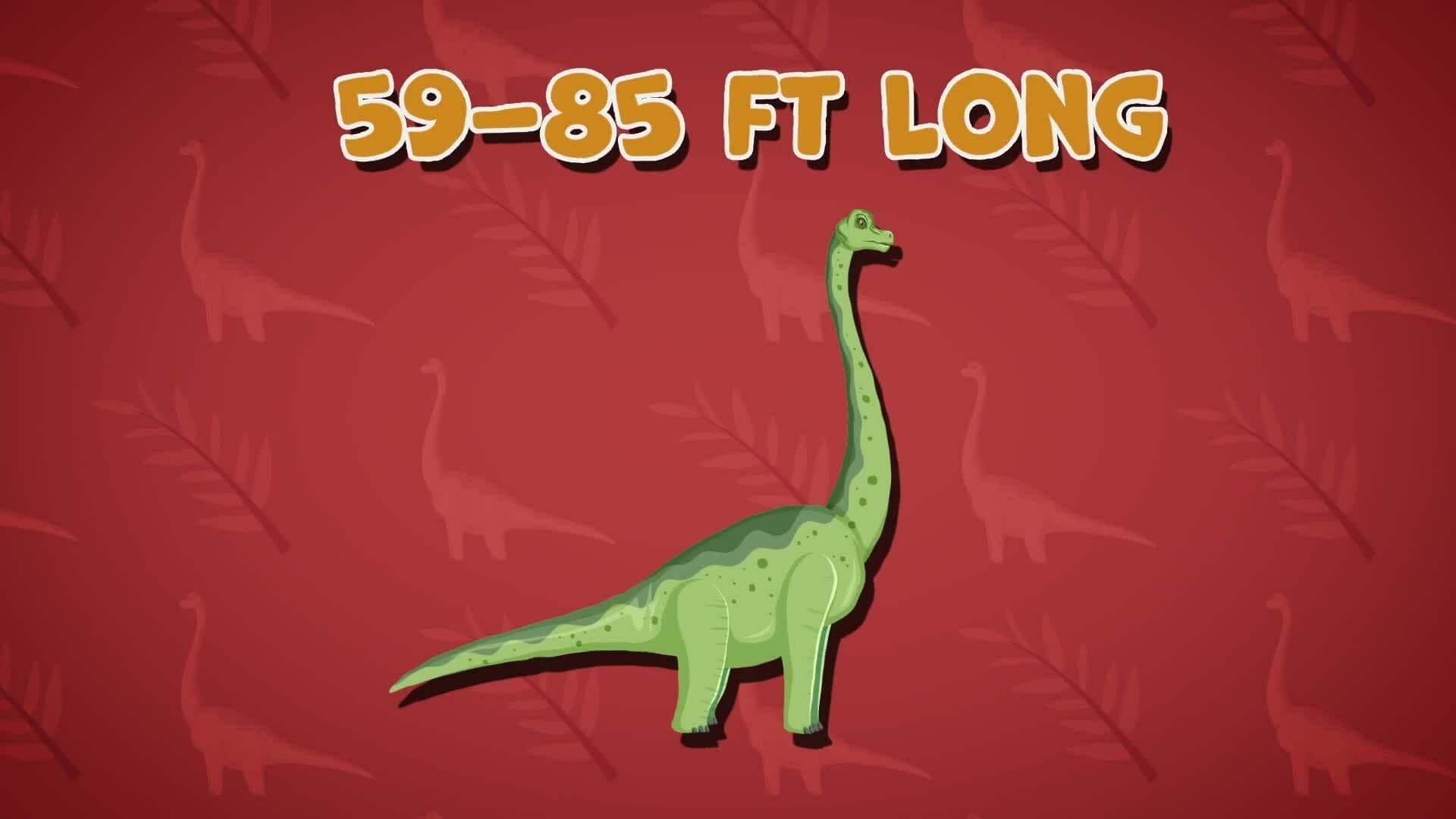 I WONDER - How Big Was The Brachiosaurus?
