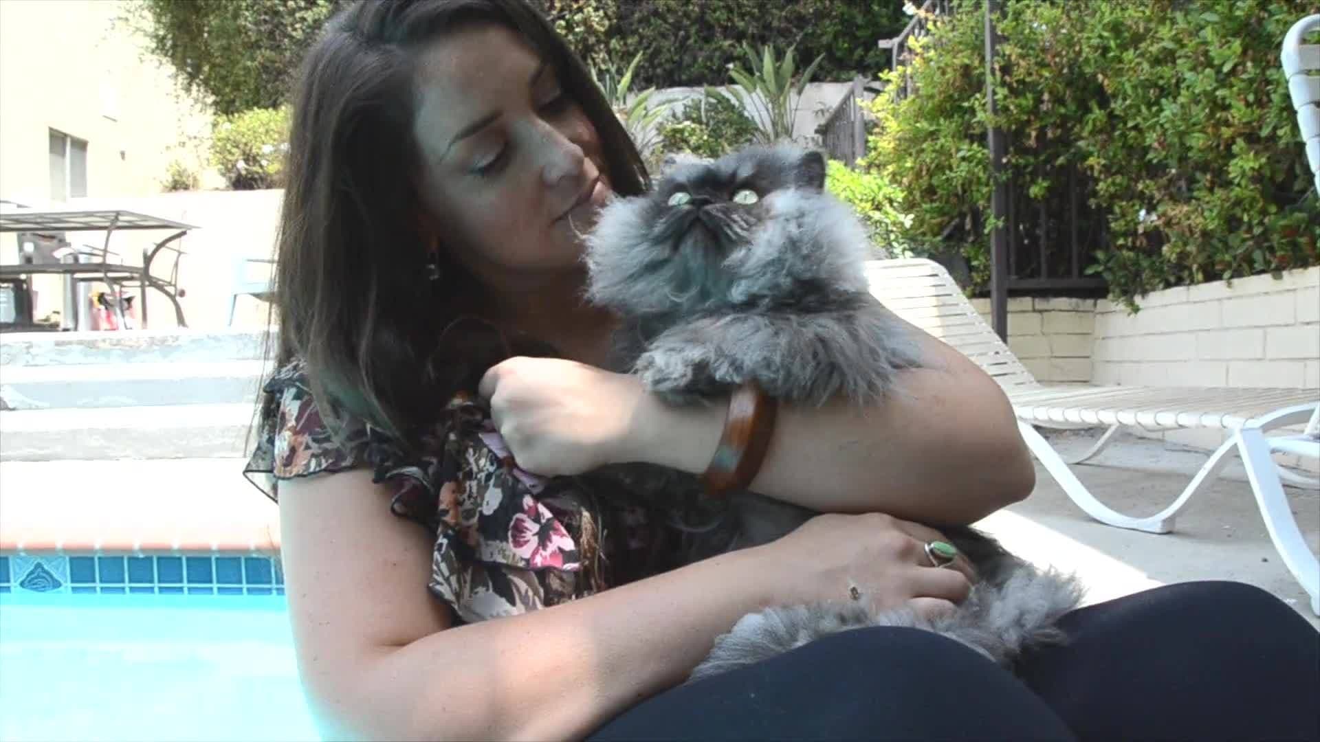 Meet Colonel Meow: The Furry King of Social Media and World Domination