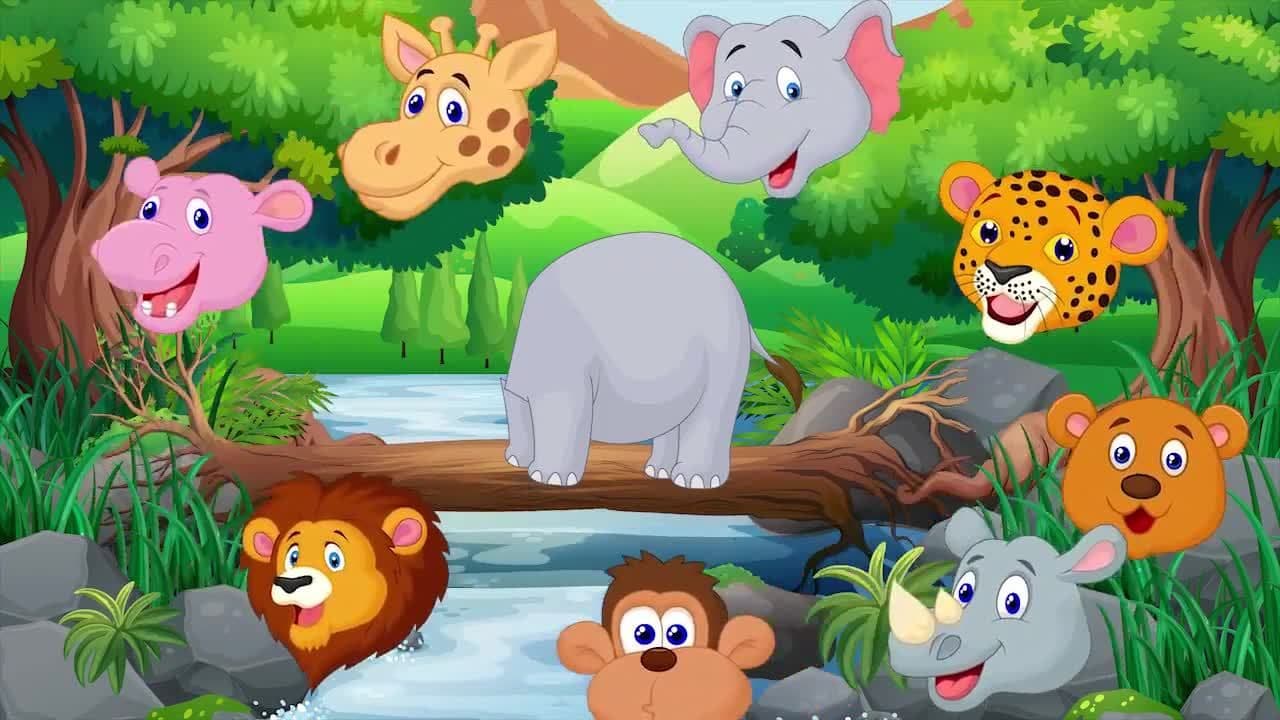 Wrong Heads! Wild Animal Matching Game for Children