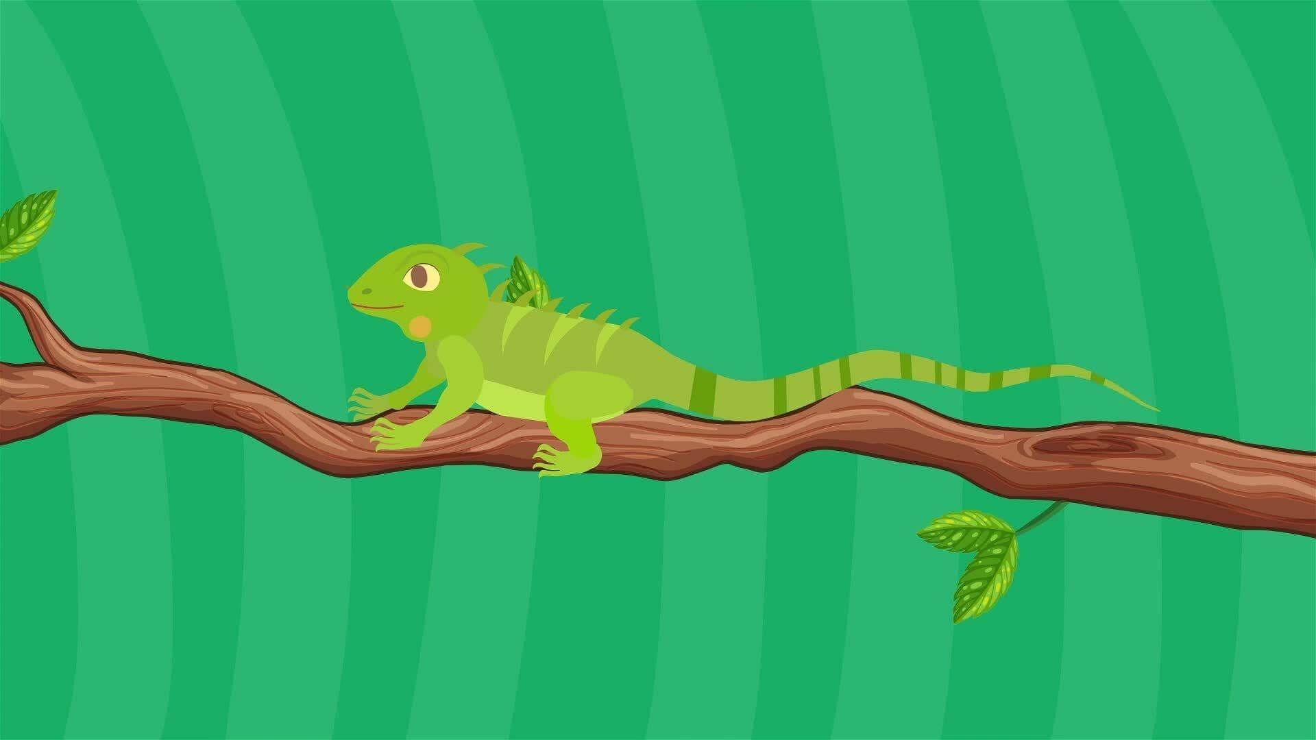 I WONDER - Can Lizards Swim?