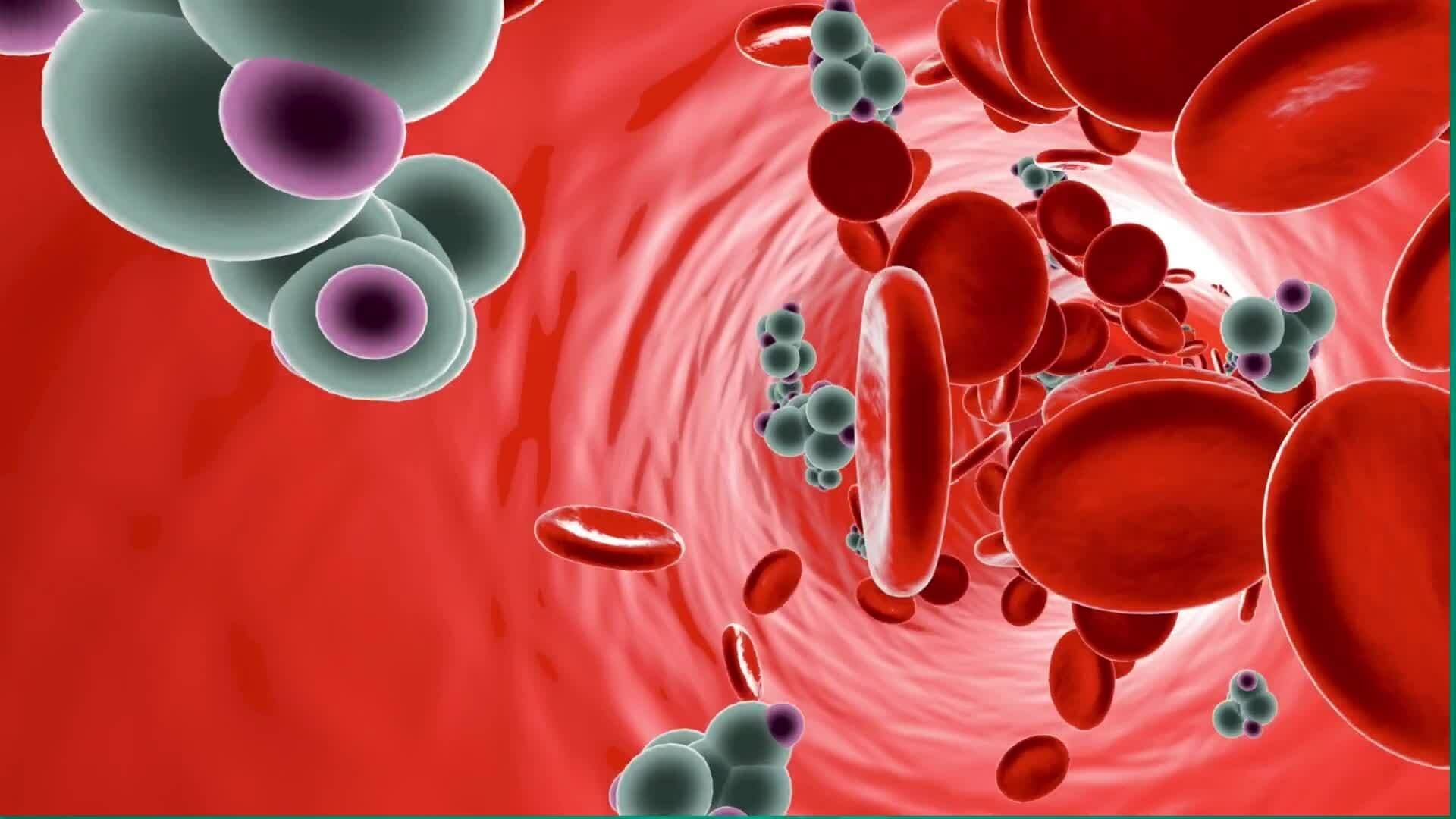 High Five Facts - Carbohydrates