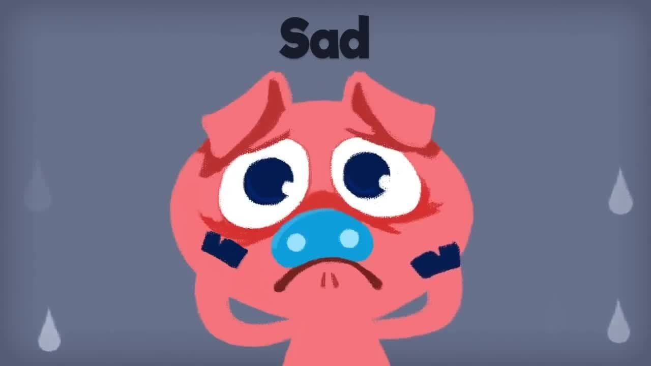 Emotions Song for Kids | Emotions Hokey Pokey | Preschool Songs | The Kiboomers