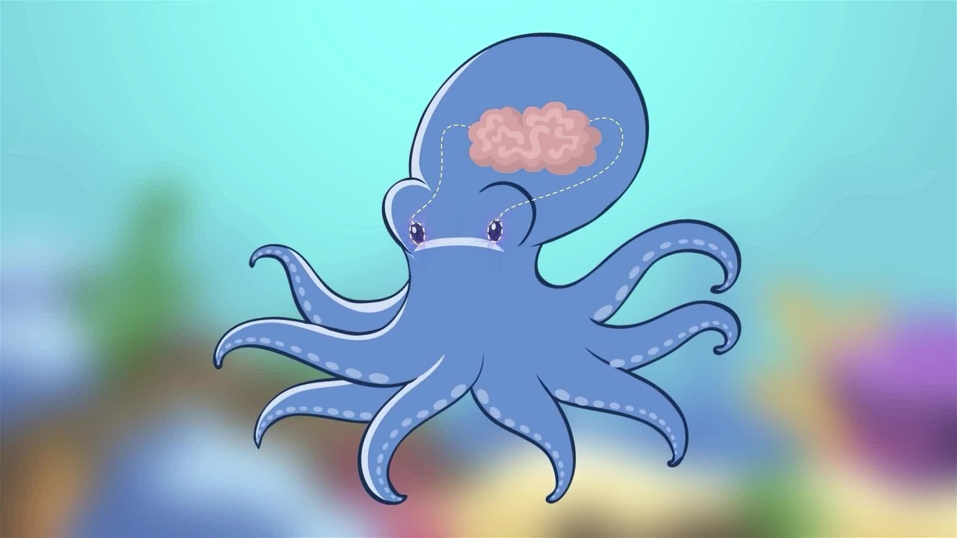 I WONDER - Do Octopi Remember People?