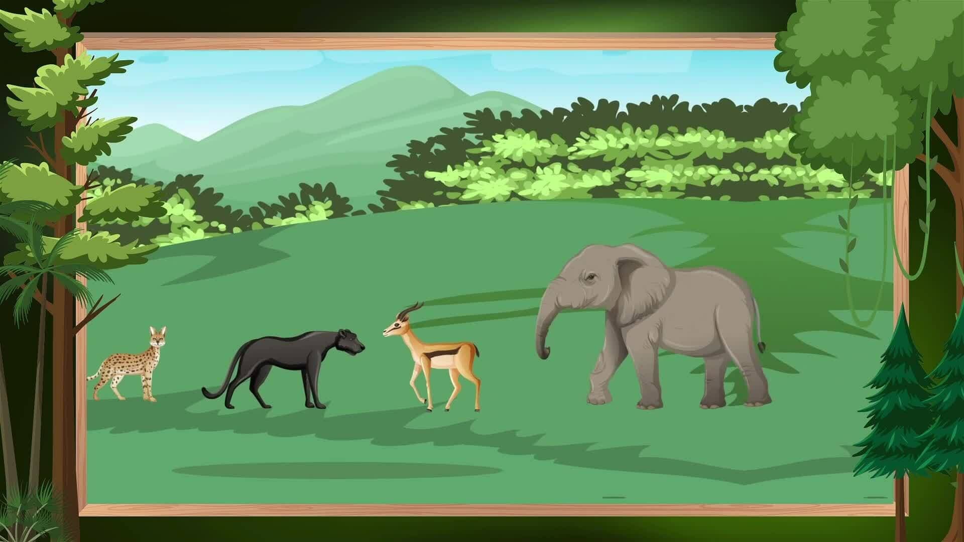 I WONDER - How Do Giraffes Drink?