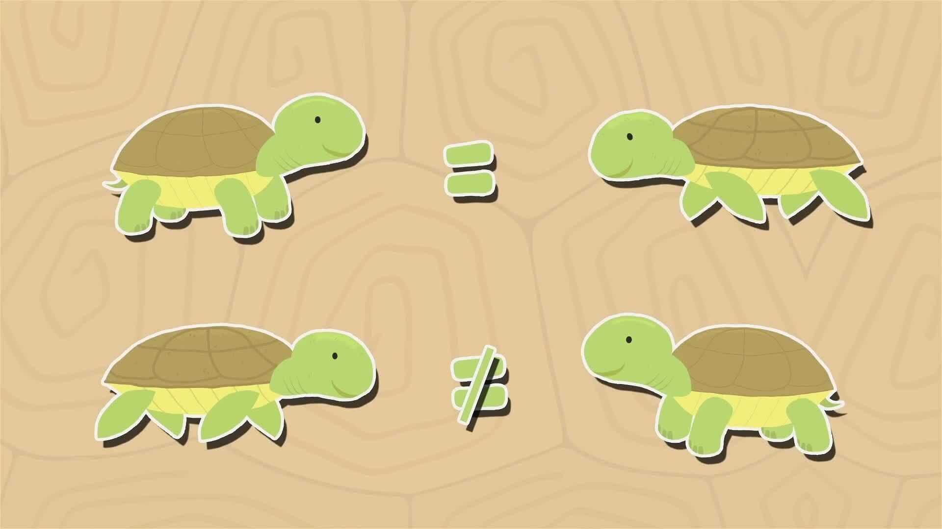 I WONDER - Are Tortoises Turtles?